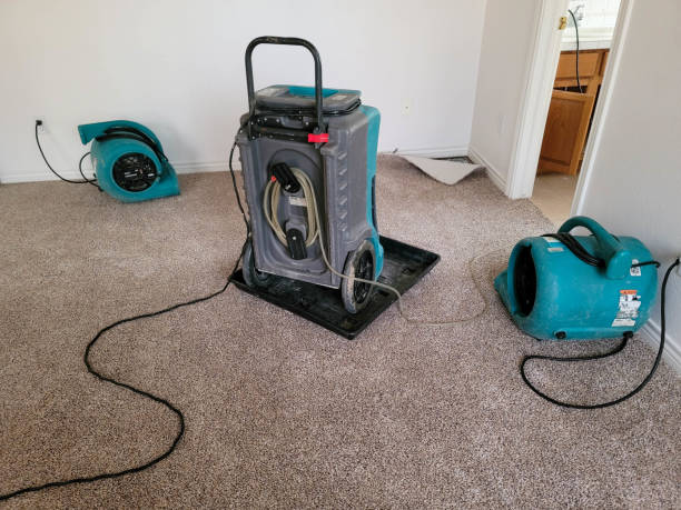 Best Sewage cleanup and water damage restoration  in Arvada, CO