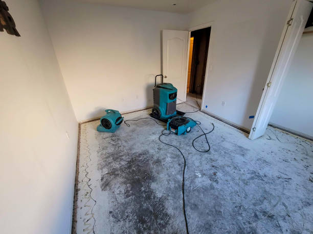 Best Flood restoration services  in Arvada, CO