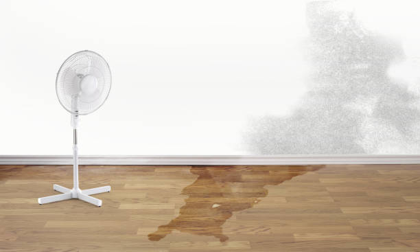 Best Water damage restoration near me  in Arvada, CO